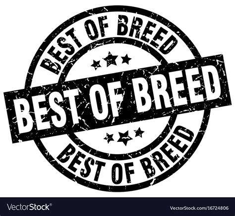 Best of breed round grunge black stamp Royalty Free Vector