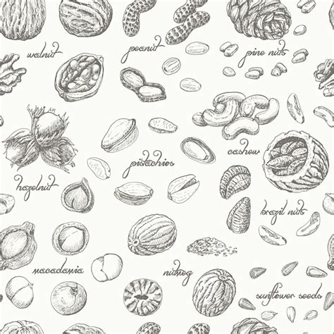 Premium Vector Seamless Pattern With Nuts