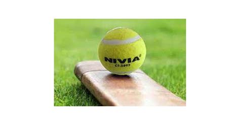 Tennis ball cricket tourney organized - Daily Excelsior