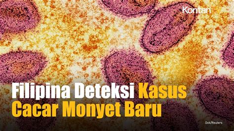 Filipina Mendeteksi Kasus Cacar Monyet Pertama Tahun Ini Kontan News