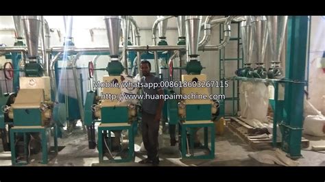 30 Ton Day Maize Corn Flour Mill Plant Corn Grits Making Machine