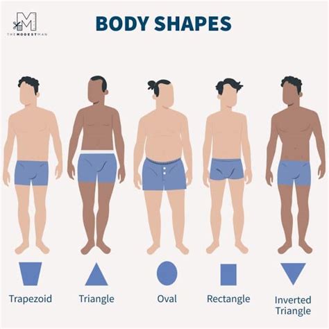 Male Body Types: A Comprehensive Guide - The Modest Man