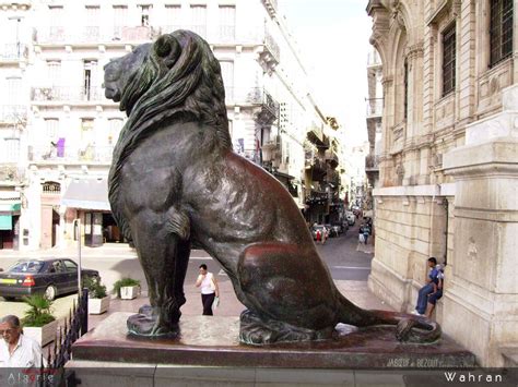 Oran City Lion Sculpture Oran Coastal Cities