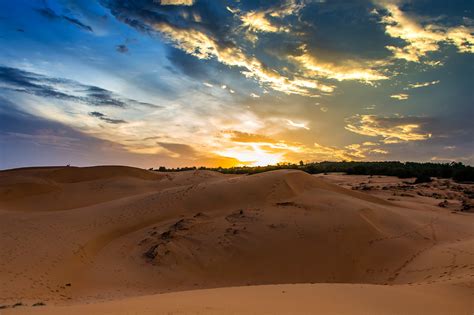 Free Images : landscape, sand, sunset, desert, dune, male, write, habitat, ne, sahara, throat ...