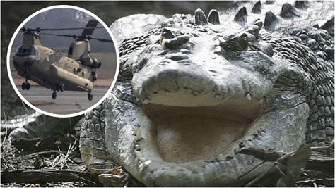 Military Helicopter Sparks Crocodile Sex Frenzy In Australia Outkick Outkick