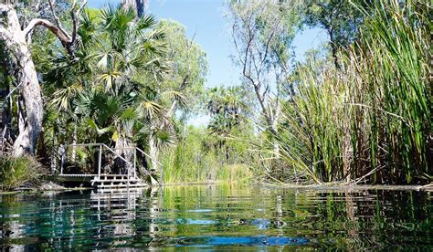 Natural Hot Springs You Need To Visit In Australia Hot Springs Australia Travel Oz