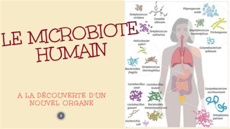 Le Microbiote Seconde