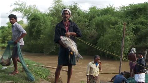 Kerala Monsoon Fishing Big Fish Hunt In Rainy Season Malappuram