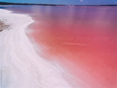 "Pink Lake" by Stocksy Contributor "Javier Pardina" - Stocksy