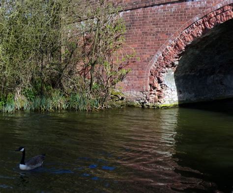 Handford Bridge And The Grand Union Mat Fascione Geograph