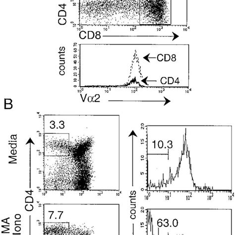 MHC Class I Restricted CD4SP Are Mature Thymocytes A The Flow