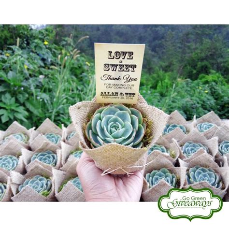 Rose Cactus Succulent Wedding Souvenirs Philippine Wedding Wedding