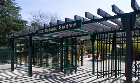 Gardens Reopening Update Ucr Botanic Gardens