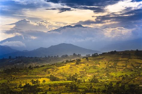 Rwenzori Mountains