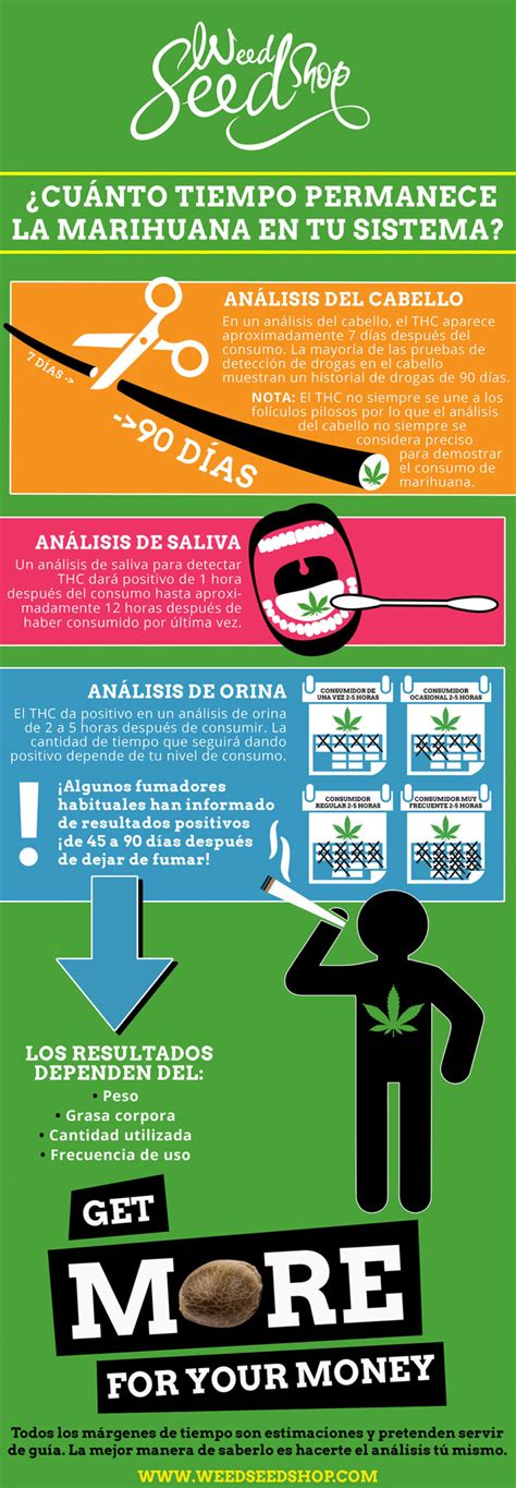 Cuanto Dura La Marihuana En La Orina Normalweb Es