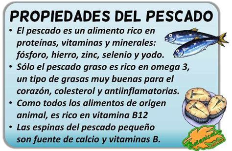 Libro lanzador Aislante cuales son las vitaminas del pescado Revocación