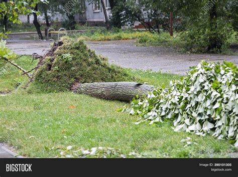 Storm Damage. Fallen Image & Photo (Free Trial) | Bigstock