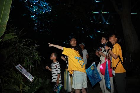 Nocturnal delights - Chinadaily.com.cn