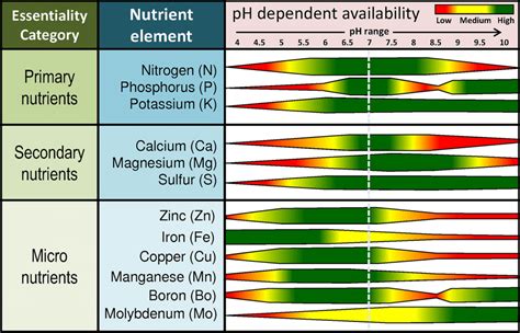 Essential Plant Nutrients And Their Availability Based On The Soil