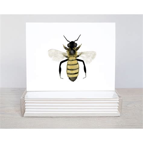 Bee Note Cards Bebeblu Designs