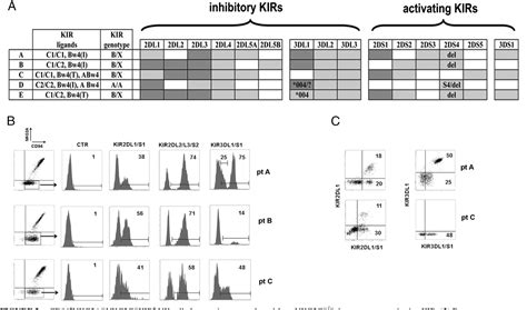 Figure 2 From Human Cytomegalovirus Infection Promotes Rapid Maturation