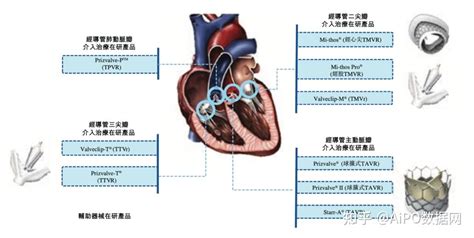 中国拥有全面产品组合的心脏瓣膜器械提供商纽脉医疗递表港交所 知乎