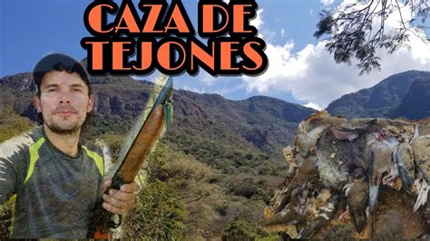 caceria de huilotas y tejon coati en las montañas YouTube