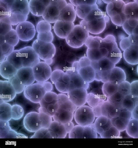 Microscope Image Of Bacteria Hi Res Stock Photography And Images Alamy