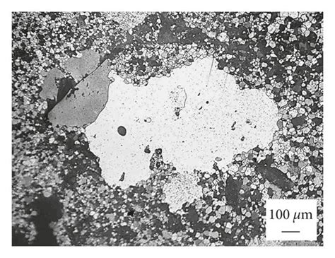 Perpendicular And Parallel Cross Sectional Microstructures Of The Zno