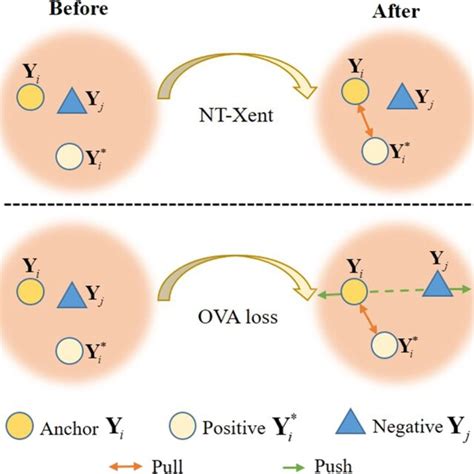 Comparisons Of The Standard Contrastive Loss And Our One Vs All Ova Download Scientific