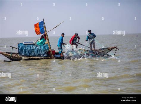 Hilsha fishing at the Meghna River. Hilsha fish is the national fish of ...