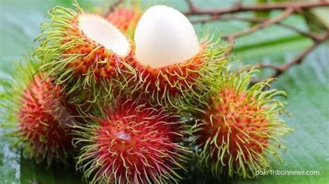 Anda Perlu Tahu Ini Manfaat Buah Rambutan Untuk Kesehatan