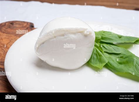 White Ball Of Italian Soft Cheese Mozzarella Di Bufala Campana Served