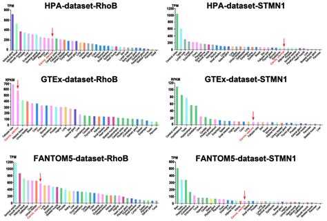 Identification Of Potential Biomarkers In Cervical Cancer With Combined