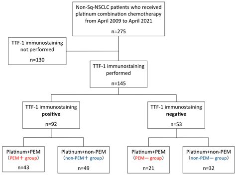 JCM Free Full Text Impact Of Results Of TTF 1 Immunostaining On