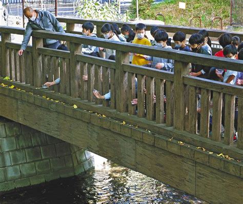 玉川上水 目指せ！世界遺産登録 流域の市民が選んだ遺構100選 「100年先も残すため」活動に熱気：東京新聞デジタル