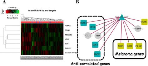 Clustergram Of Genes Whose Expression Was Inversely Correlated With