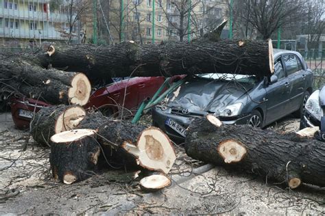 Cyklon Zoltan Dotar Do Polski B D Pot Ne Wichury Nie Tylko We