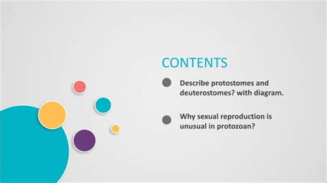 Protostomes And Deuterostomes Ppt