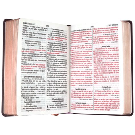 Biblia RVR1960 Mediana Lt Gigante Tapa Dura Rosas 13pt RVR063cLGPJR