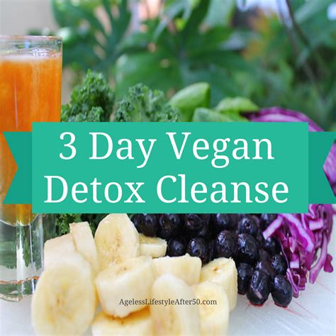 3 Day Vegan Cleanse Detox Lynn Pierce Ageless Lifestyle