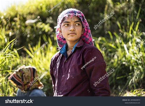 Portrait Indian Female Farmer Traditional Dress Stock Photo 2059924973 ...