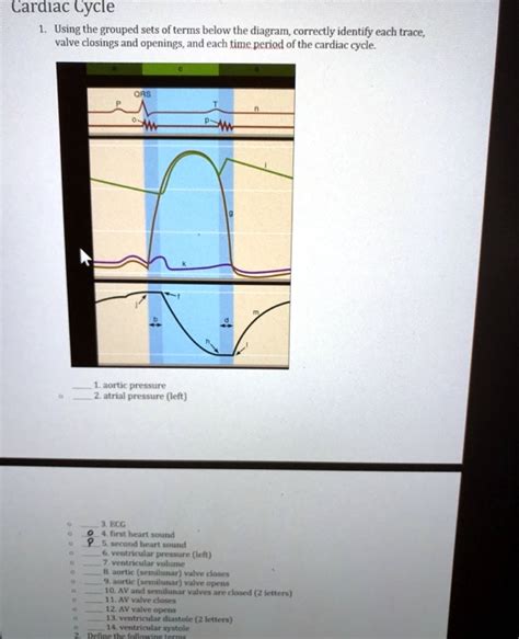 SOLVED Cardiac Cycle 1 Using The Grouped Sets Of Terms Below The