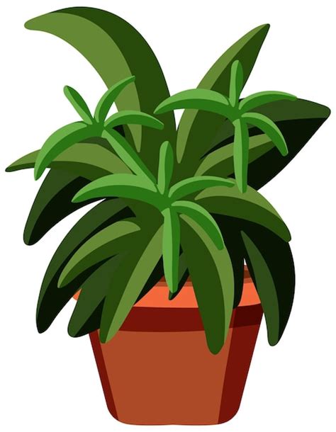 Images de Svg Plante Téléchargement gratuit sur Freepik