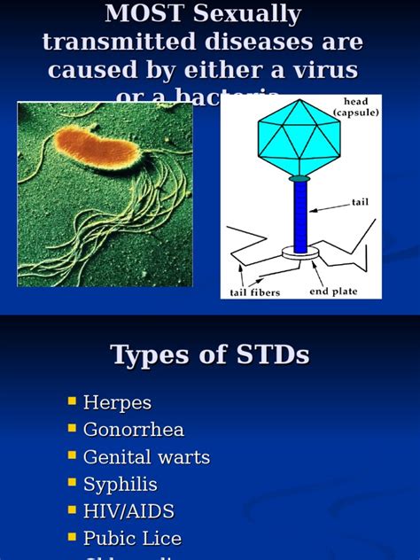 Std Pdf Sexually Transmitted Infection Hiv Aids