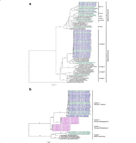 Maximum Likelihood Phylogenetic Trees Of Coronavirus Cov Generated