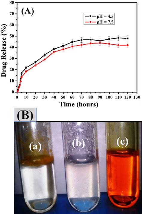 A Drug Release Profile Of Curcumin From Curcumin Loaded Zno