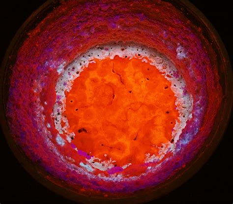 A special kind of bacteria lets cement fix itself – Sciworthy