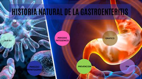 Historia Natural De La Gastroenteritis By Alondra Yamileth Rosales