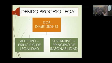 179 Clase 6 Debido Proceso Sustantivo 1 Parte YouTube